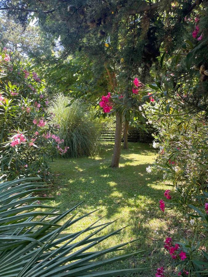 Gites Au Chateau Des Estubiers Les Granges-Gontardes Экстерьер фото